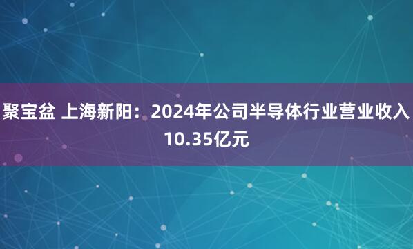 聚宝盆 上海新阳：2024年公司半导体行业营业收入10.35亿元