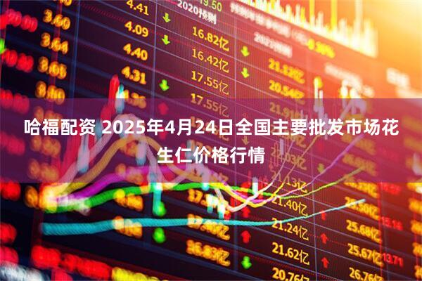 哈福配资 2025年4月24日全国主要批发市场花生仁价格行情