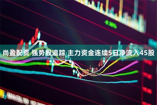 尚盈配资 强势股追踪 主力资金连续5日净流入45股